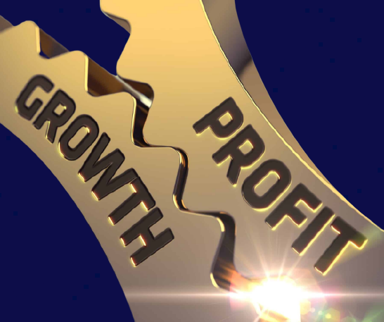 growth_and_profit-dark blue